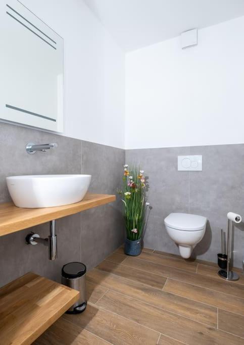 Ferienhaus Mountain View Six50 Mit Sauna Und Kamin In St. Andreasberg 상트안드레스베르크 외부 사진