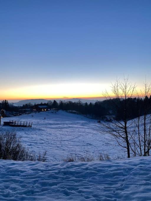 Ferienhaus Mountain View Six50 Mit Sauna Und Kamin In St. Andreasberg 상트안드레스베르크 외부 사진